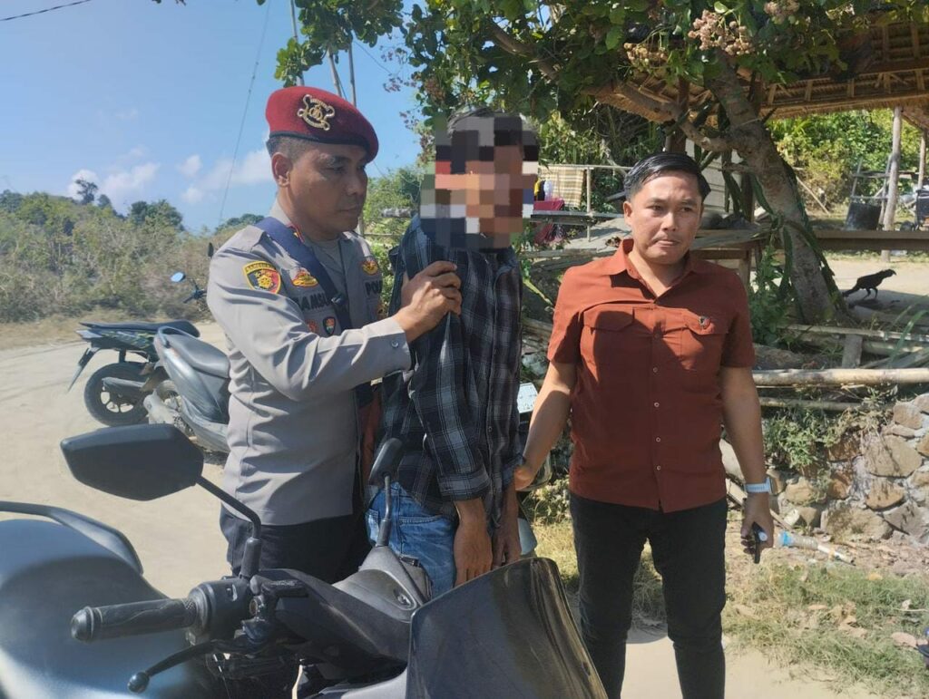 961ed639-0724-440a-badf-716efec5271e