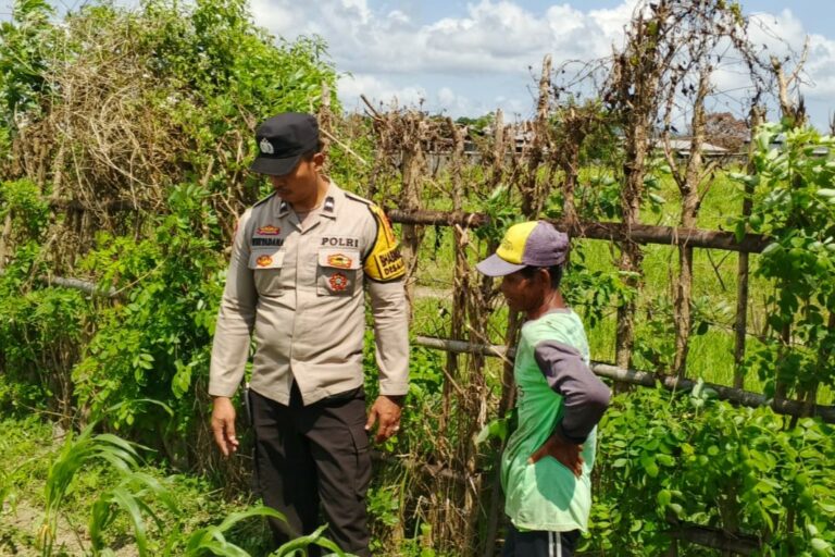 Bhabinkamtibmas di Labuapi dan Warga Bersinergi Jaga Ketahanan Pangan Nasional