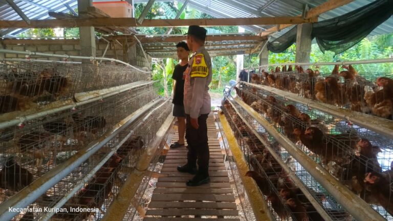 Kemitraan Strategis, Bhabinkamtibmas Kuripan dan Peternak Berkolaborasi Wujudkan Ketahanan Pangan