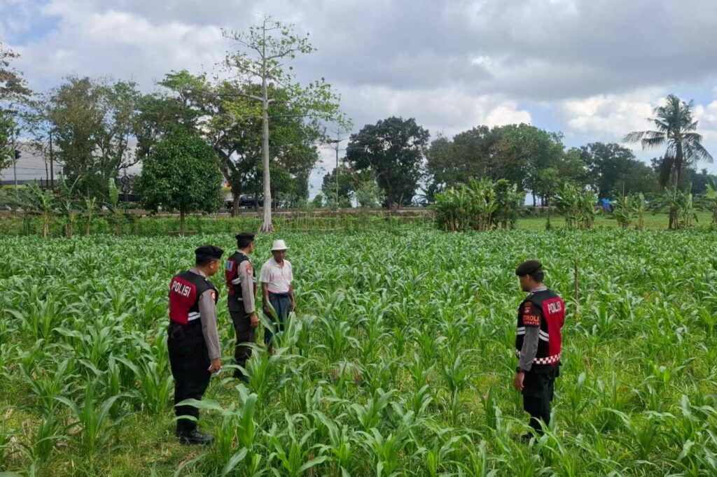 olres Lombok Barat Dampingi Petani Gerung Utara Wujudkan Swasembada Pangan
