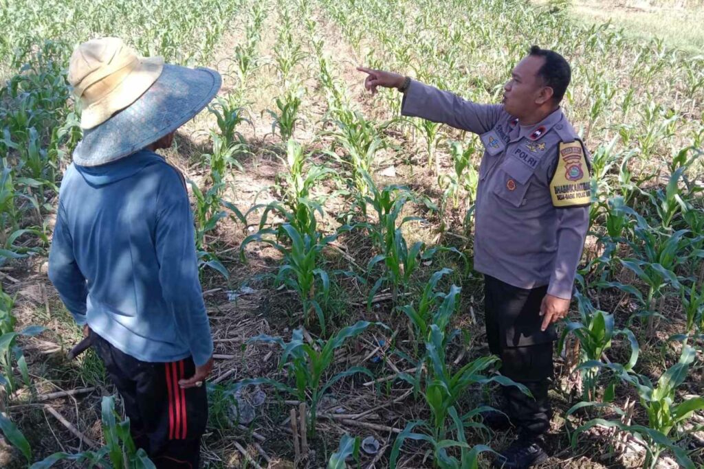 Sinergi Polri dan Petani, Optimalisasi Lahan Kosong di Dusun Jogot untuk Ketahanan Pangan