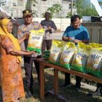 WhatsApp Image 2025-08-12 at 11.52.56