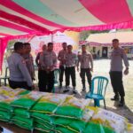 WhatsApp Image 2025-08-14 at 21.06.00