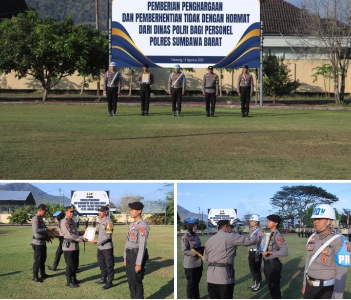 WhatsApp Image 2025-08-15 at 10.30.56