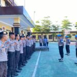 WhatsApp Image 2025-08-15 at 14.39.35