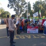 WhatsApp Image 2025-08-16 at 08.03.15 (1)