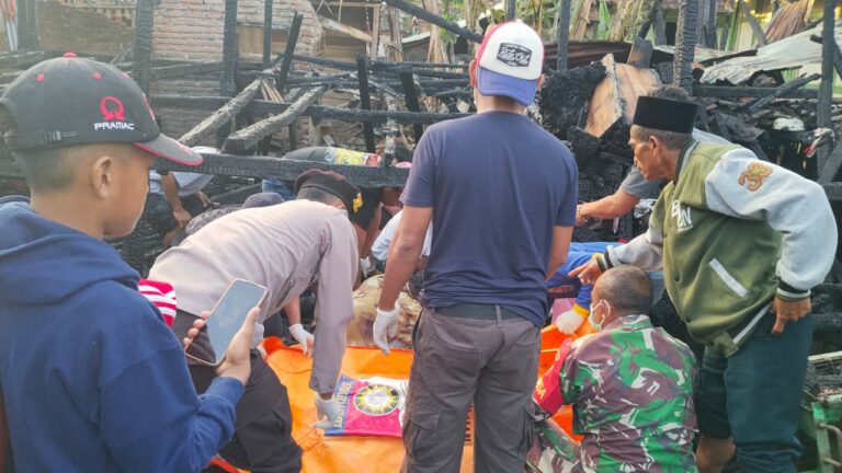 WhatsApp Image 2025-08-17 at 07.20.44