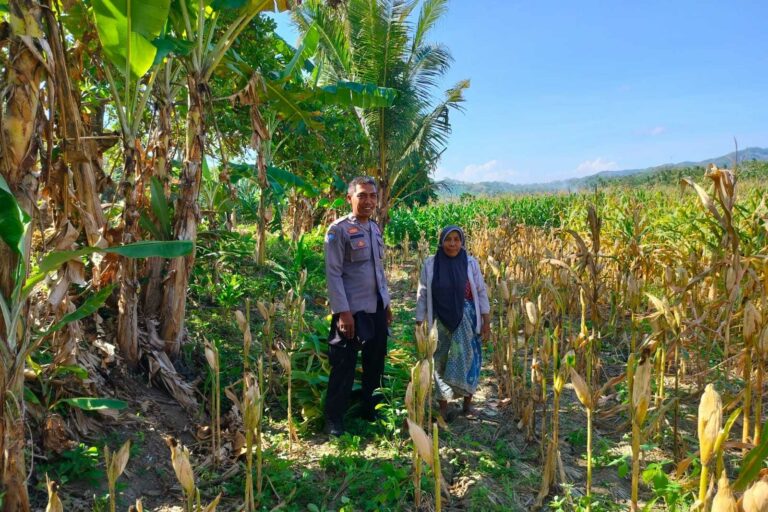 Kemitraan Strategis, Bhabinkamtibmas Lembar Dukung Petani Wujudkan Ketahanan Pangan