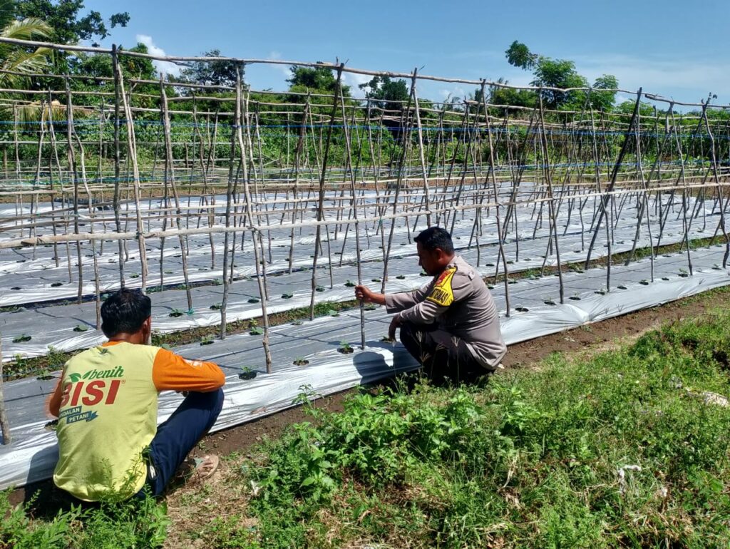 WhatsApp Image 2025-08-19 at 11.02.08