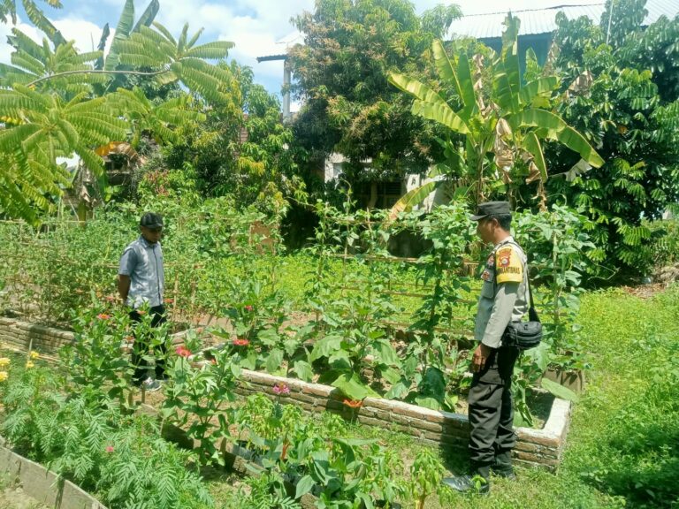 WhatsApp Image 2025-08-21 at 08.09.14