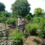 WhatsApp Image 2025-08-22 at 11.35.01