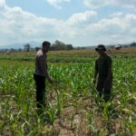 WhatsApp Image 2025-08-23 at 09.21.45