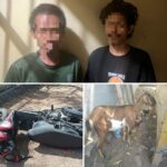 WhatsApp Image 2025-08-25 at 08.16.35