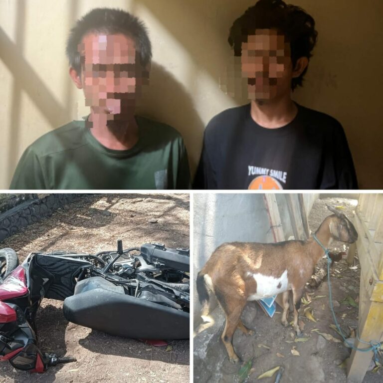 WhatsApp Image 2025-08-25 at 08.16.35