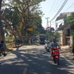 WhatsApp Image 2025-08-25 at 12.46.30