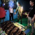 WhatsApp Image 2025-08-26 at 00.50.05