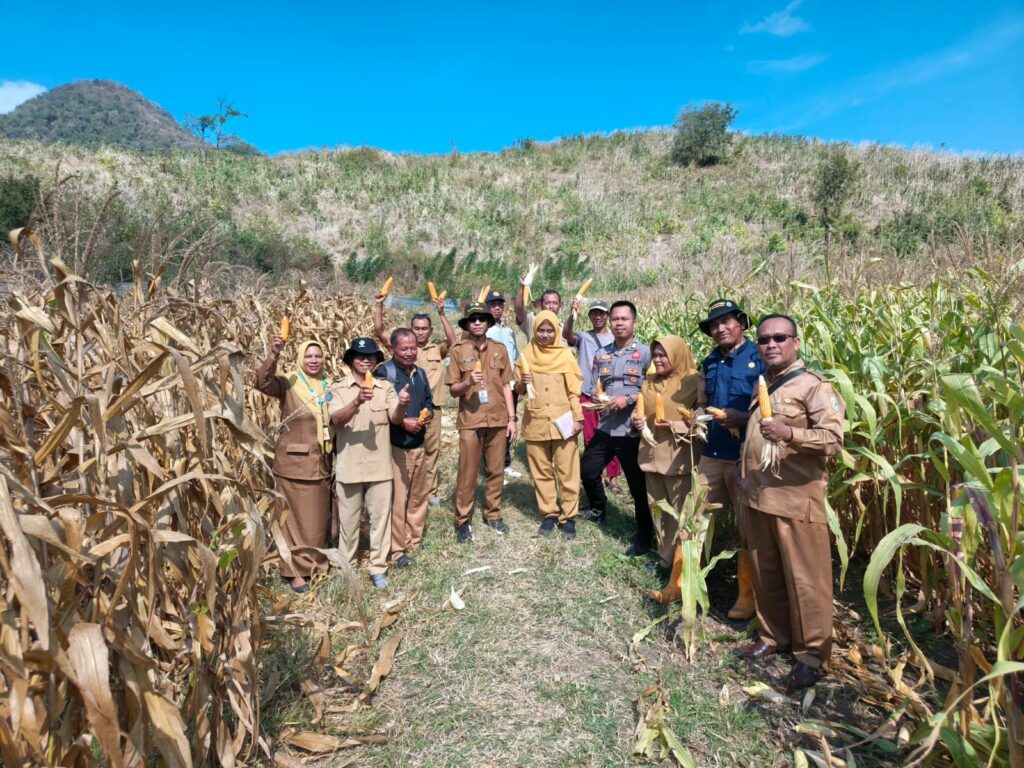 WhatsApp Image 2025-08-26 at 08.18.16