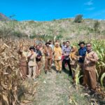 WhatsApp Image 2025-08-26 at 08.18.16