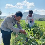 WhatsApp Image 2025-08-26 at 08.18.29