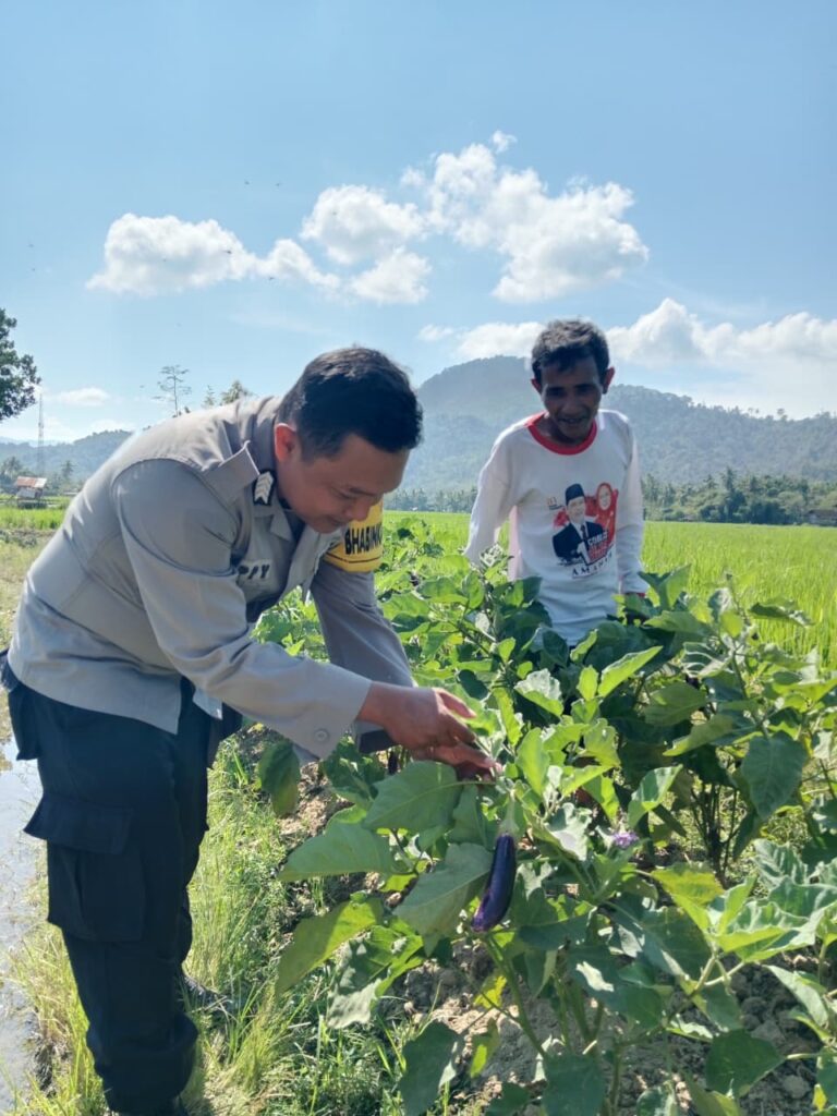 WhatsApp Image 2025-08-26 at 08.18.29