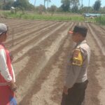 WhatsApp Image 2025-08-28 at 11.33.40