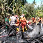 WhatsApp Image 2025-08-28 at 11.40.29 (1)