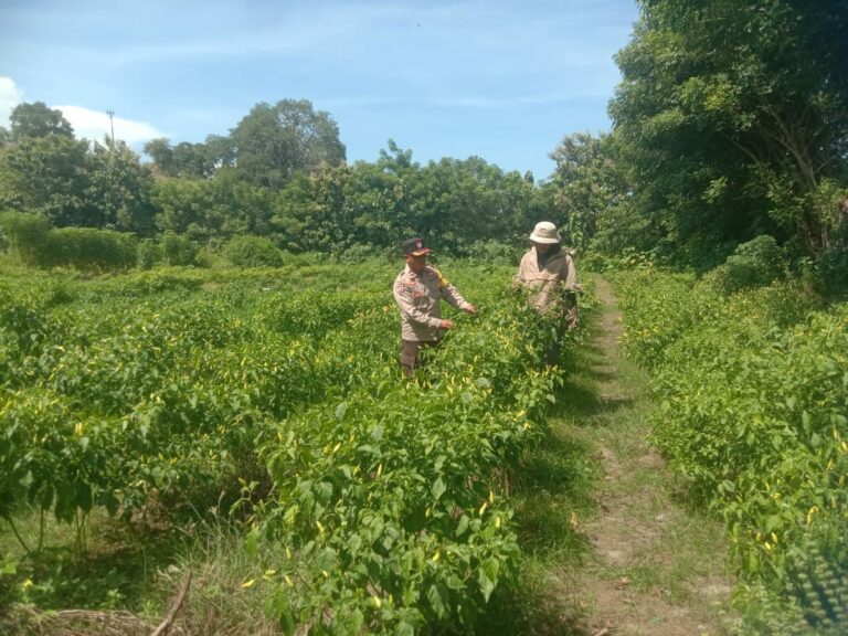 4be45eb5-2174-43c4-80b1-41167f964180