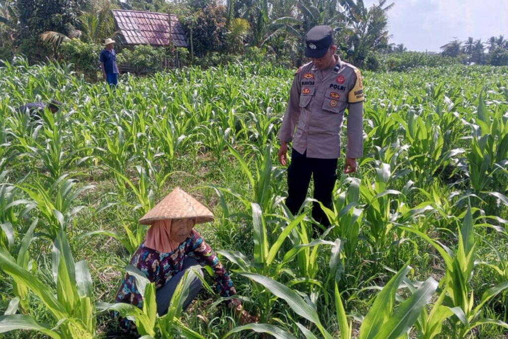Sinergi Polisi dan Petani Bhabinkamtibmas Kuripan Galakkan Pemanfaatan Pekarangan Rumah