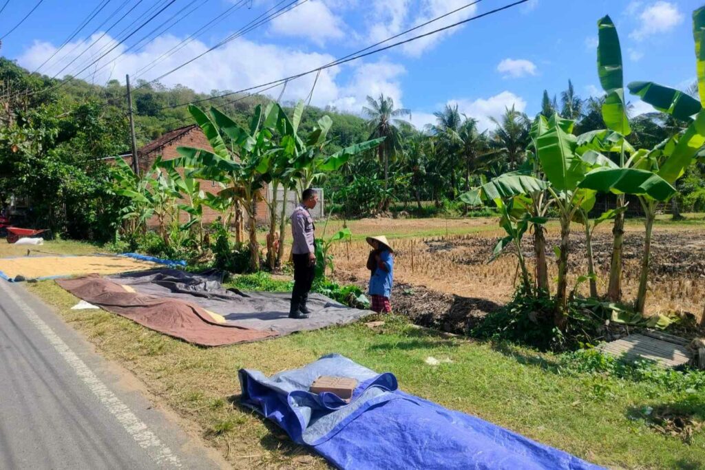 Sinergi Polri dan Petani Dusun Eyat Mayang Perkuat Program Ketahanan Pangan Nasional