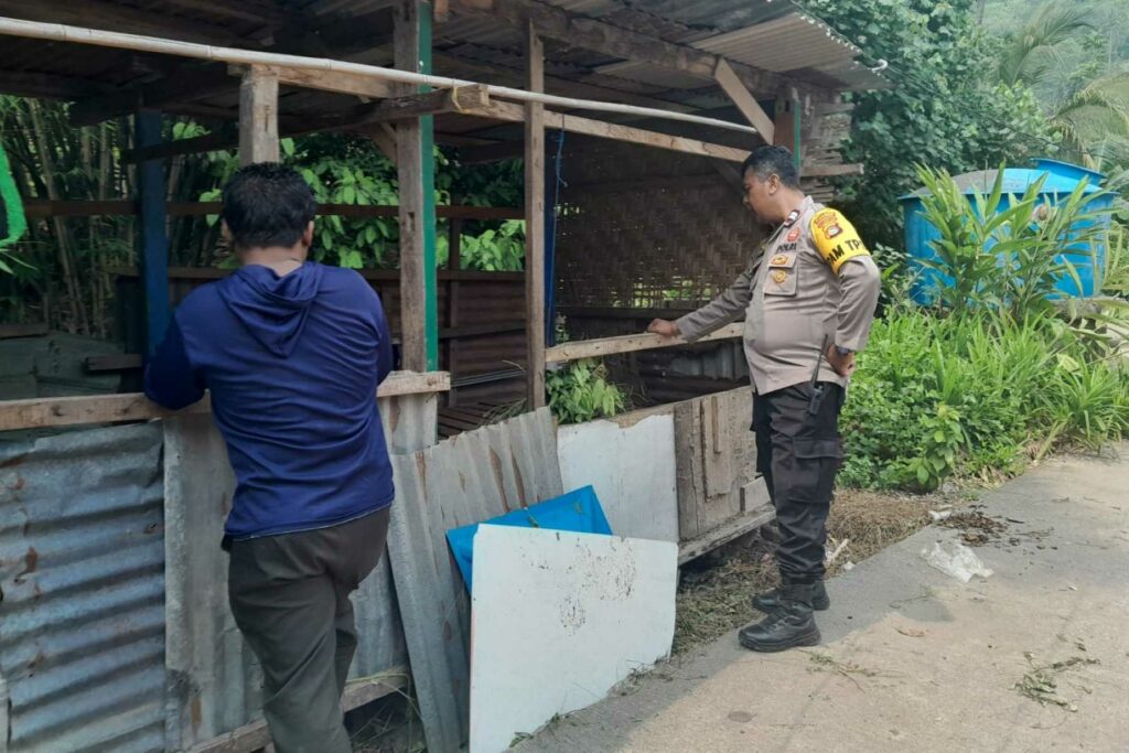 Sinergi Polri dan Warga Senggigi, Tanam Sayuran di Lahan Kosong untuk Perkuat Ekonomi Keluarga