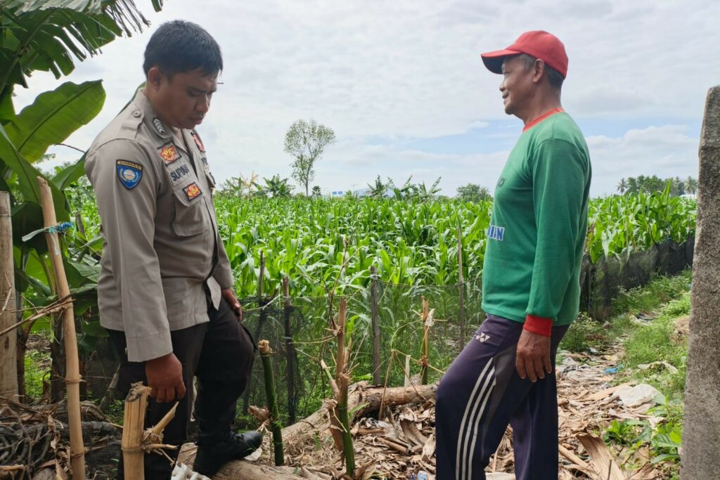 Sinergi Polsek Kediri dan Petani Banyumulek untuk Wujudkan Kemandirian Pangan