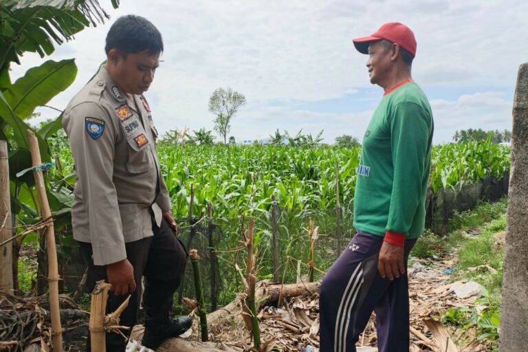 Sinergi Polsek Kediri dan Petani Banyumulek untuk Wujudkan Kemandirian Pangan