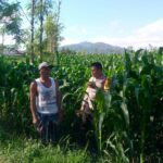 Kolaborasi Polsek Kuripan dan Petani Jagaraga Perkuat Stabilitas Pangan Desa