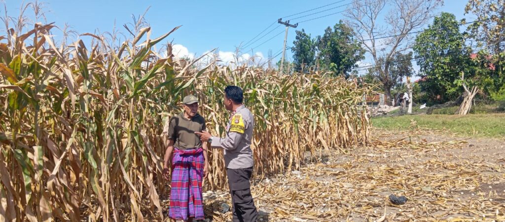 WhatsApp Image 2025-08-31 at 19.07.24