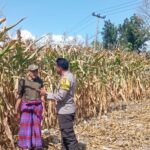 WhatsApp Image 2025-08-31 at 19.07.24