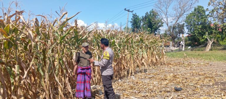 WhatsApp Image 2025-08-31 at 19.07.24