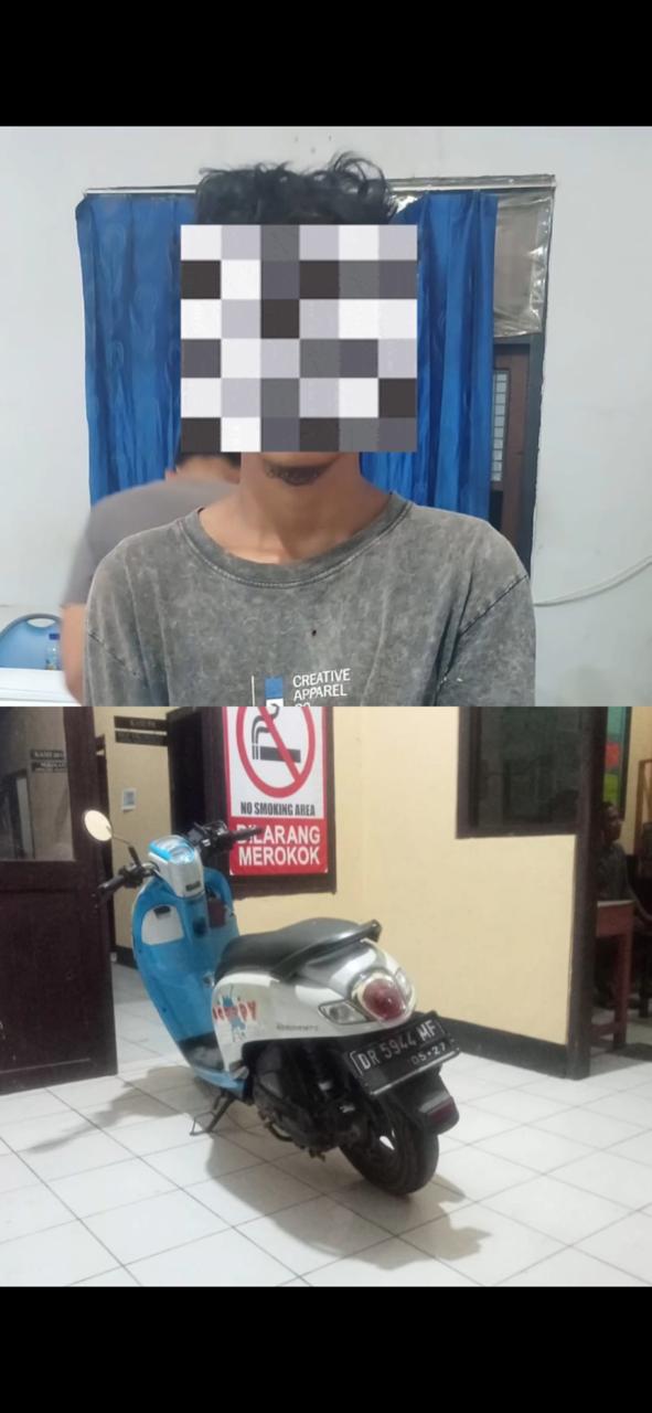 WhatsApp Image 2025-09-01 at 11.08.32