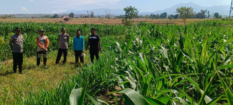 WhatsApp Image 2025-09-03 at 12.19.17