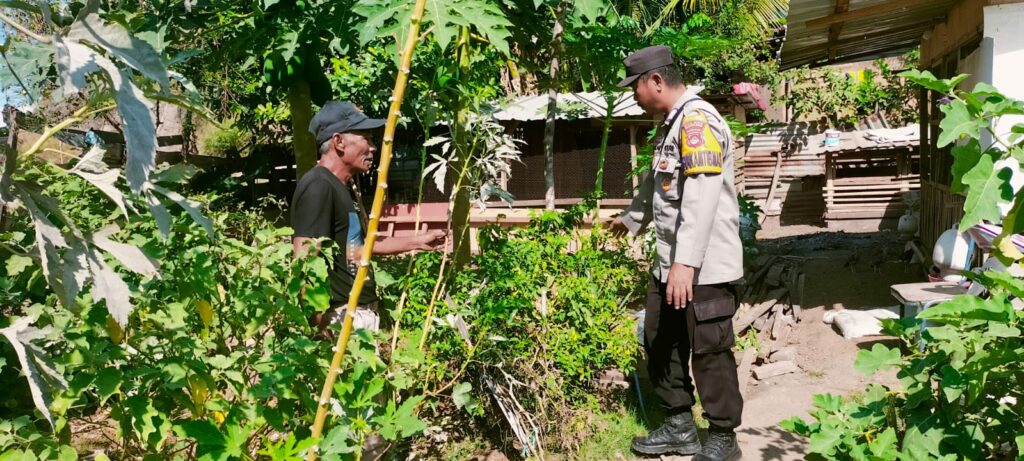 WhatsApp Image 2025-09-06 at 08.41.56