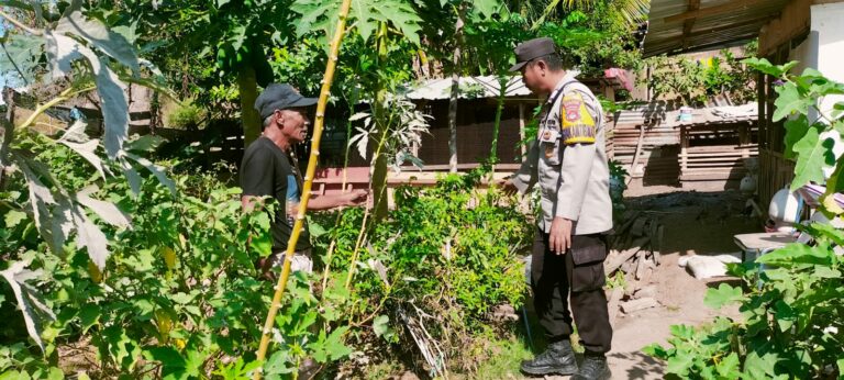 WhatsApp Image 2025-09-06 at 08.41.56