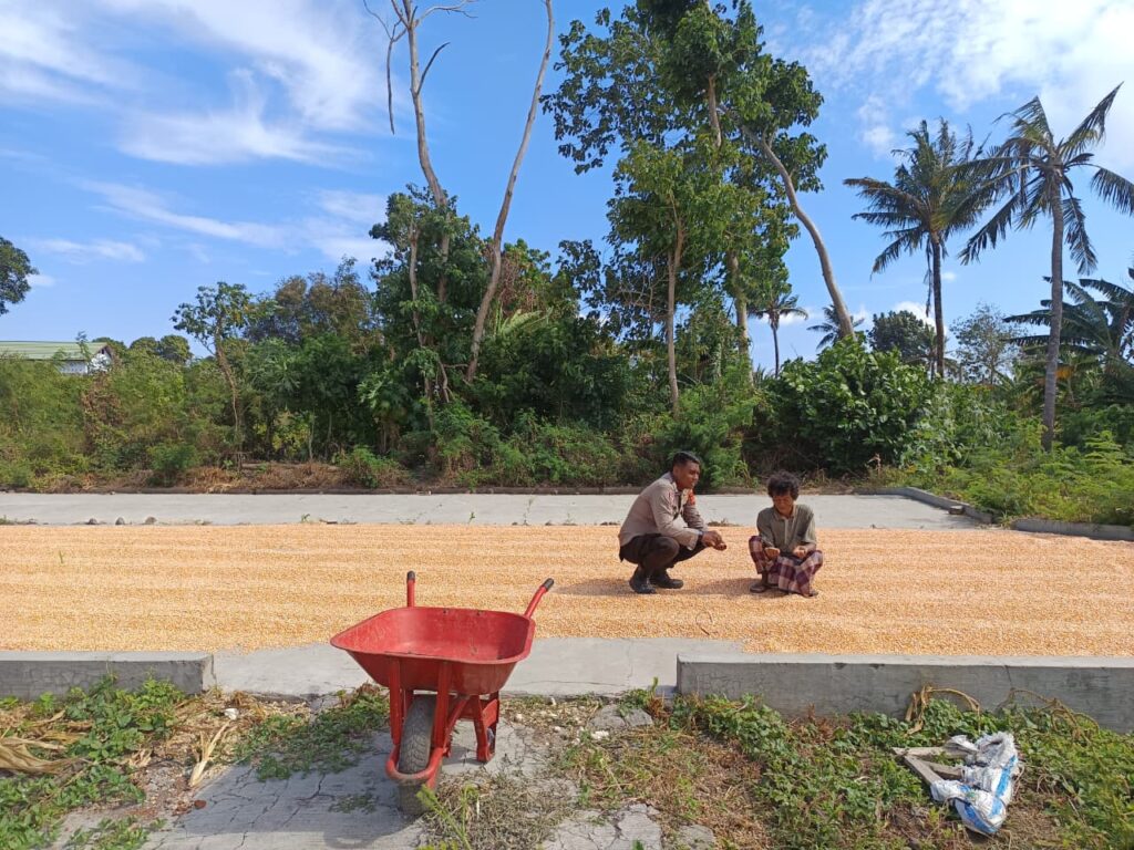 WhatsApp Image 2025-09-08 at 08.36.35