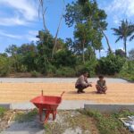 WhatsApp Image 2025-09-08 at 08.36.35