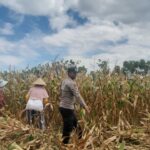 WhatsApp Image 2025-09-08 at 08.41.34 (1)