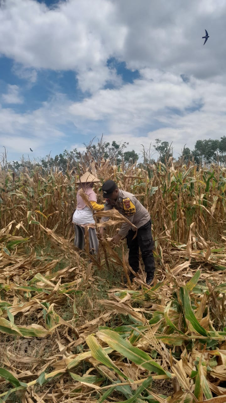 WhatsApp Image 2025-09-08 at 08.41.34