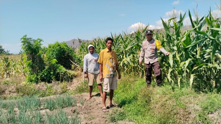 WhatsApp Image 2025-09-08 at 11.01.27