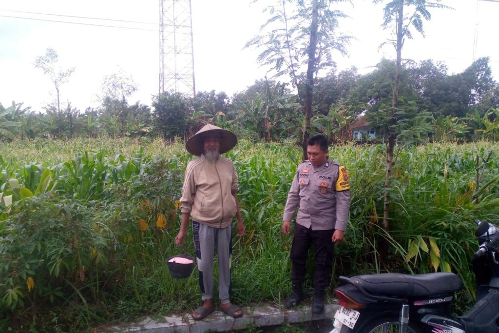 WhatsApp Image 2025-09-10 at 11.27.51