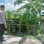 WhatsApp Image 2025-09-10 at 12.05.30