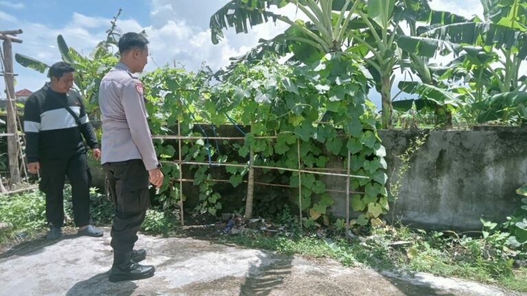 WhatsApp Image 2025-09-10 at 12.05.30