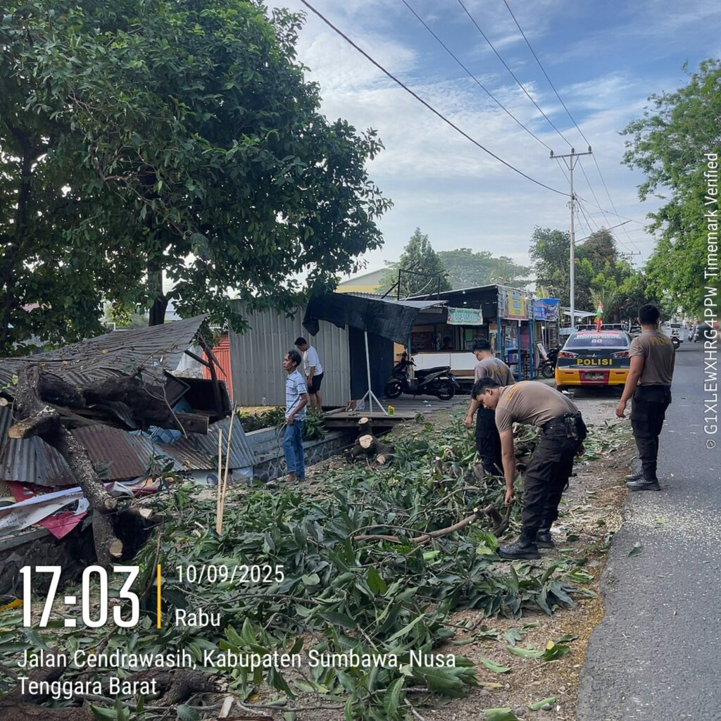 WhatsApp Image 2025-09-10 at 19.51.18