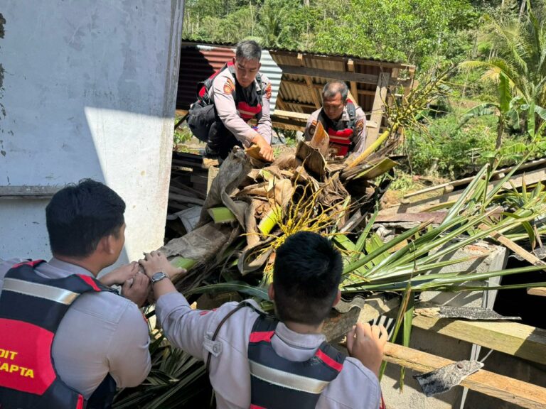 WhatsApp Image 2025-09-13 at 10.51.14